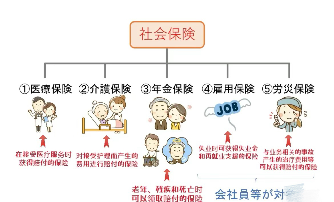 1760668367627578.jpg 2.jpg