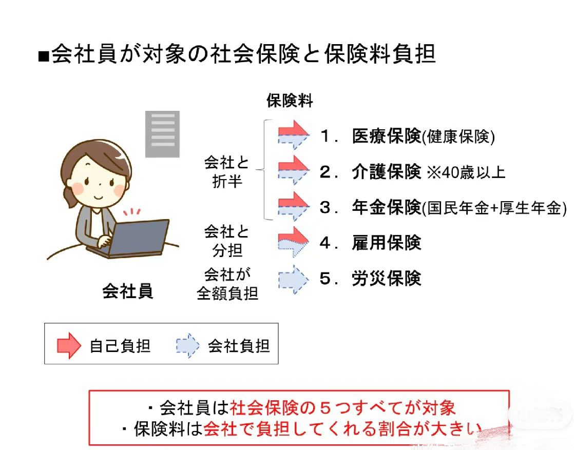 1760668378513454.jpg 3.jpg